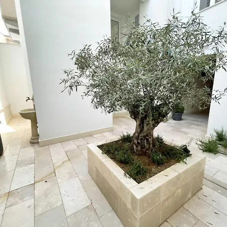 L'ulivo 住宿加早餐酒店 3*